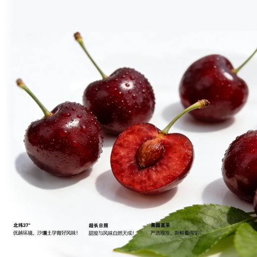 百利蜜·大连红樱桃2J大果900g精品装 商品图1
