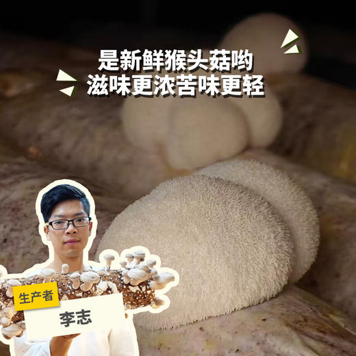 有机鲜猴头菇 | 绿家自产 * Ecological mushroom | Self-production 商品图0