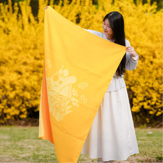 生日团团印花毛毯 商品图1