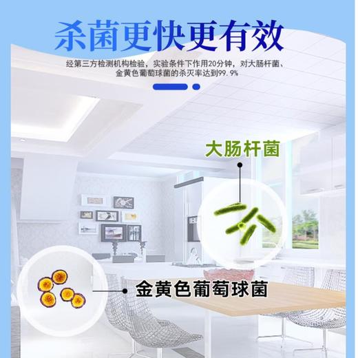 每日伊藤易拉型湿纸巾8片 商品图2