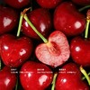 百利蜜·大连红樱桃2J大果900g精品装 商品缩略图2