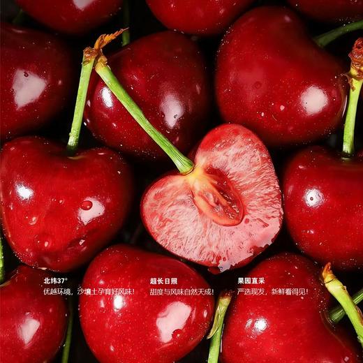 百利蜜·大连红樱桃2J大果900g精品装 商品图2