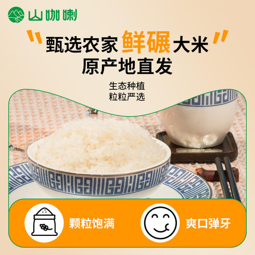 平远农家米  5Kg 商品图2