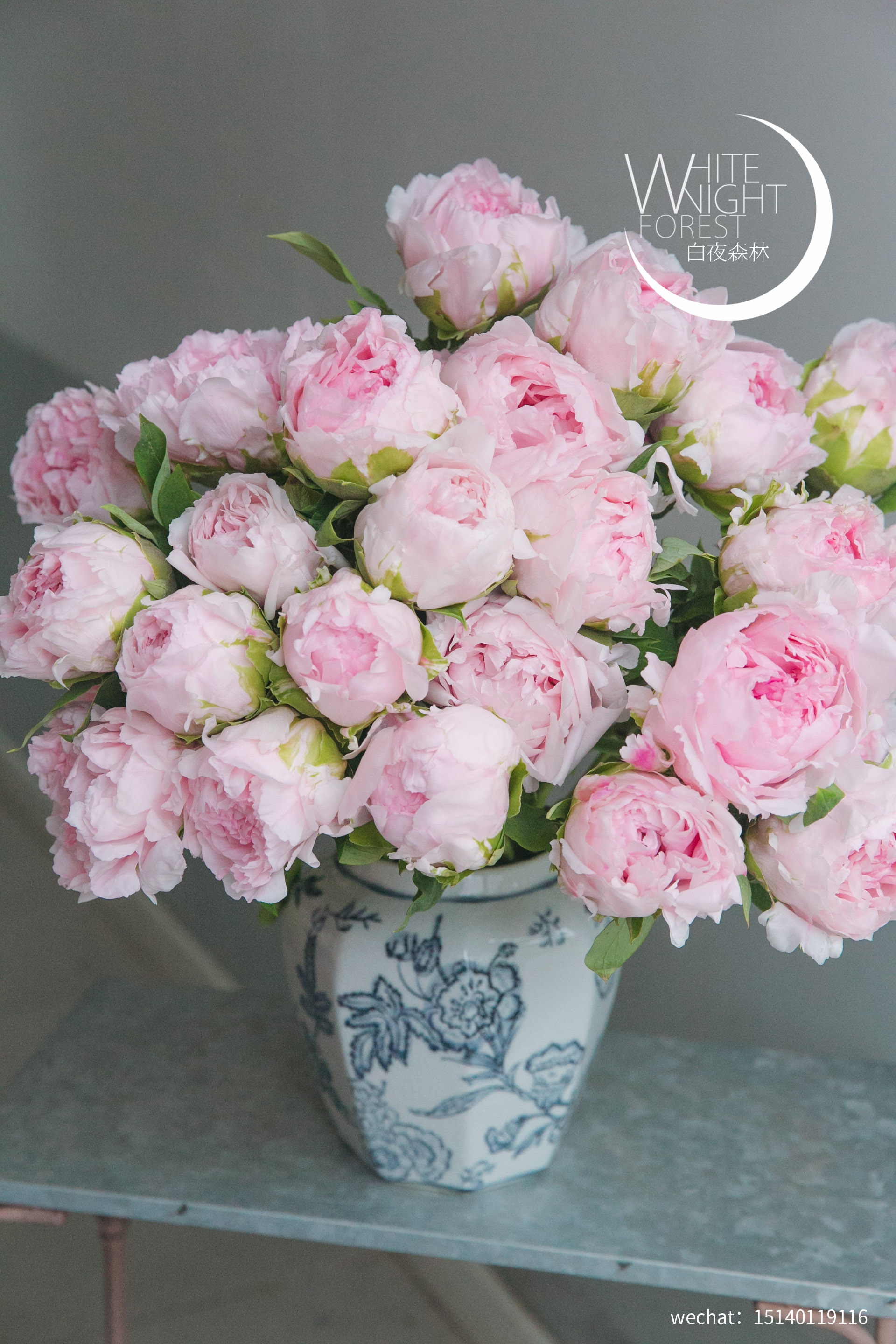 当季之美牡丹“雪映桃花”团购