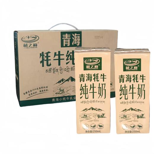【月月精选】250ml*10藏之巅青海牦牛纯牛奶 全脂灭菌乳 商品图0