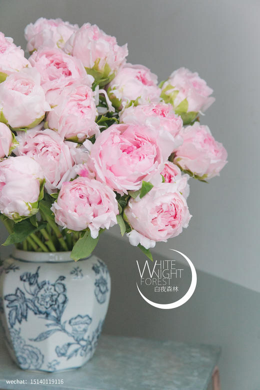 当季之美牡丹“雪映桃花”团购 商品图2