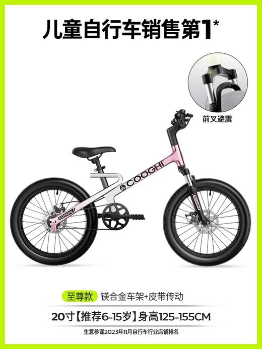 酷骑迅猛龙儿童自行车男女孩脚踏车3一6一12岁2025年新款单车F1 商品图14