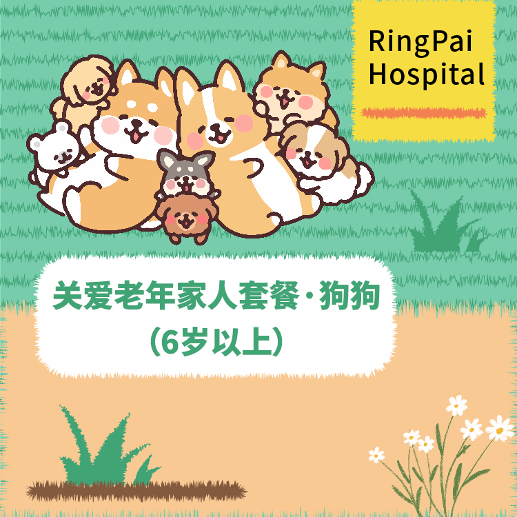 关爱老年家人套餐（6岁以上）-汪星人版