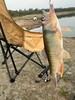 严选 | 老巴丁户外折叠椅 黑色/卡其/绿色 商品缩略图8