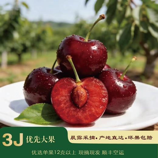 百利蜜·大连红樱桃3J超大果900g精品装 商品图0