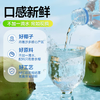 【月月精选】425ml耶气满满香水椰 天然电解质 商品缩略图1