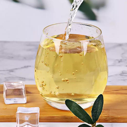 【新品限时购】三佳利你的茉莉花茶饮料 500ml / 020300 商品图2