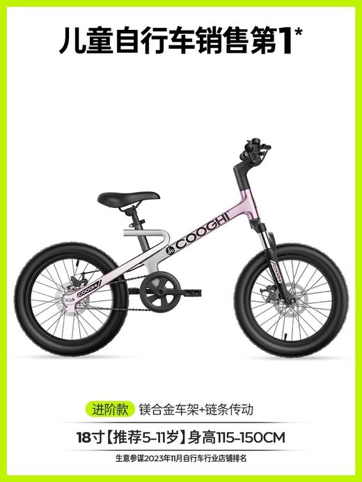 酷骑迅猛龙儿童自行车男女孩脚踏车3一6一12岁2025年新款单车F1 商品图8