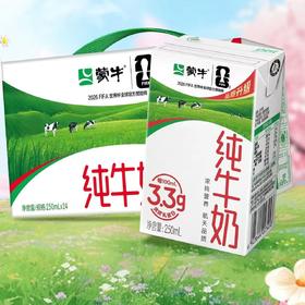3月蒙牛纯牛奶250ml*24盒【FY】