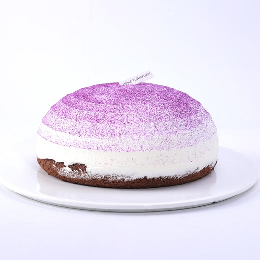 蓝莓波士顿 商品图3