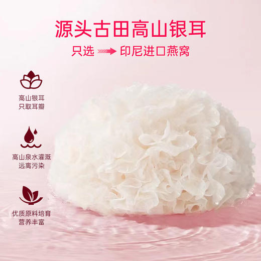 一朵燕 燕窝银耳羹礼盒450克（15g×30袋） 商品图2