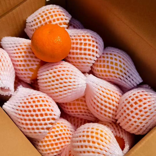 【大理酵素沃柑】天然 味道好 中大果混装 中通包邮 商品图2