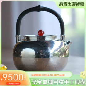 光宝堂锤目纹理手工煮泡两用银壶400ml-YHD