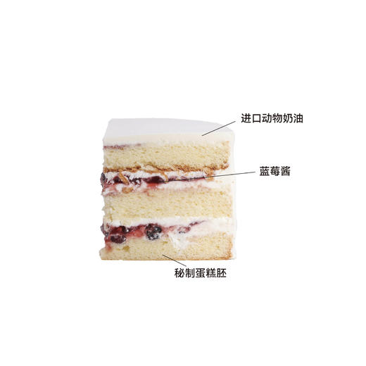 降语蓝心 商品图1