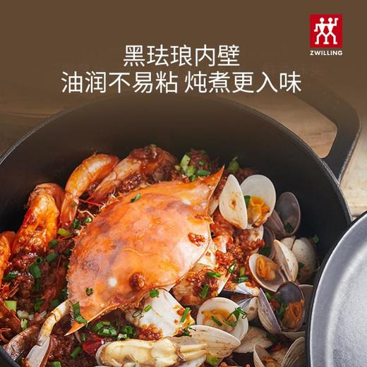 双立人-龙系列，铸铁圆炖锅，26cm，黑色/白色 商品图1