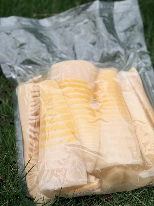 福建永安生态春笋，把山林鲜气直接端上桌~深山直采 🌳当季现挖 脆嫩鲜甜免切免泡 真空锁鲜 商品图3