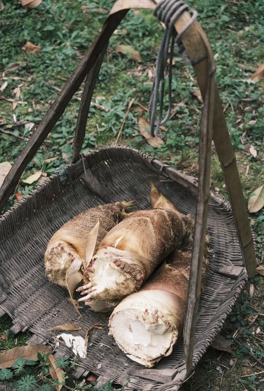 福建永安生态春笋，把山林鲜气直接端上桌~深山直采 🌳当季现挖 脆嫩鲜甜免切免泡 真空锁鲜 商品图6