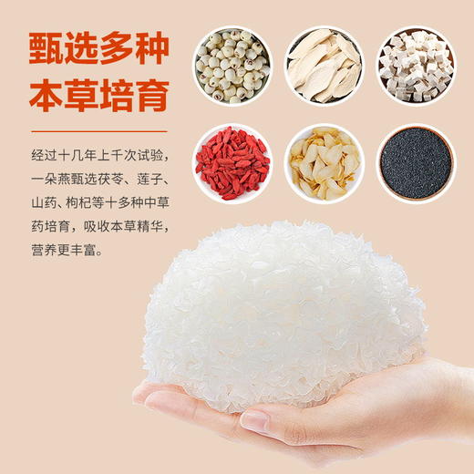 一朵燕 有机本草银耳80克×1罐（高端款） 商品图2