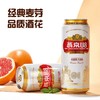 【社群团购】燕京U8啤酒【500ml*12罐】【周日送货到家】BJ 商品缩略图1
