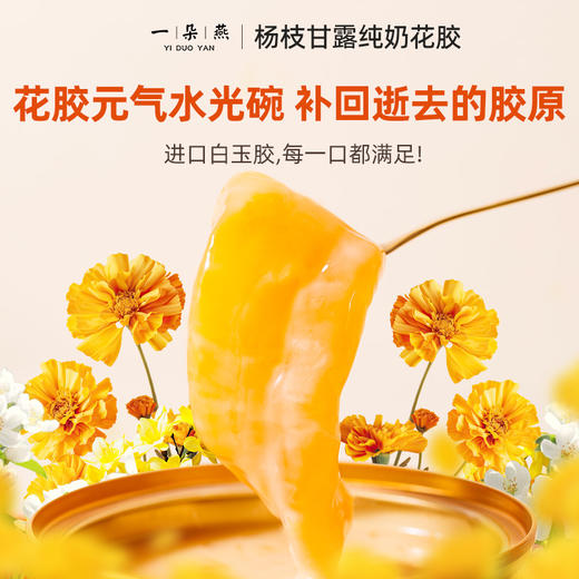 一朵燕 杨枝甘露纯奶花胶170克×1盒 商品图1