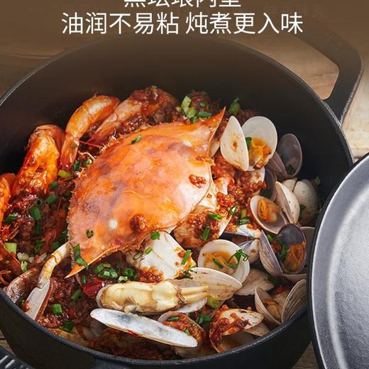双立人，龙系列，铸铁圆炖锅，22cm，黑色/白色 商品图3