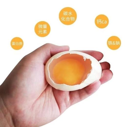 【助农】本地农家散养鹅蛋130g-150g/枚【FY】 商品图1
