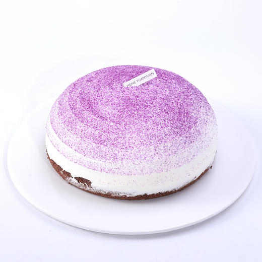 蓝莓波士顿 商品图2