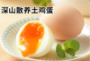 农家土鸡蛋（100枚）-礼盒装 【BH】【YPYN】 商品缩略图0