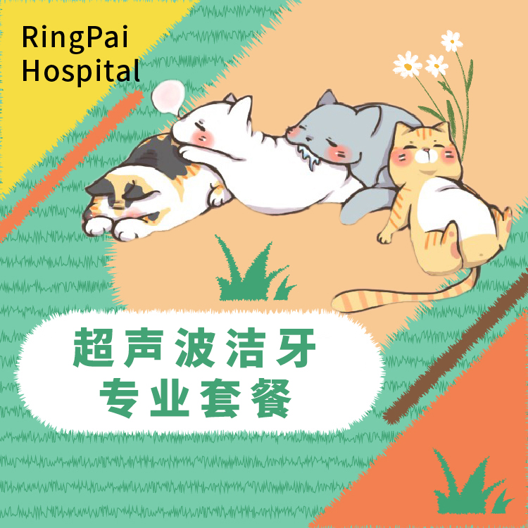 【到店服务】犬猫通用洁牙专业套餐