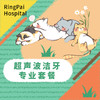 【到店服务】犬猫通用洁牙专业套餐 商品缩略图0