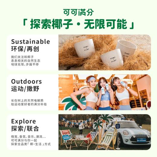 可可满分无糖椰乳245ml×10瓶 商品图4