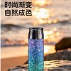 飞剑TD-039-29A云动系列真空保温杯 商品缩略图1