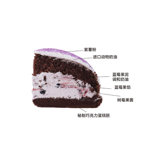 蓝莓波士顿 商品图1