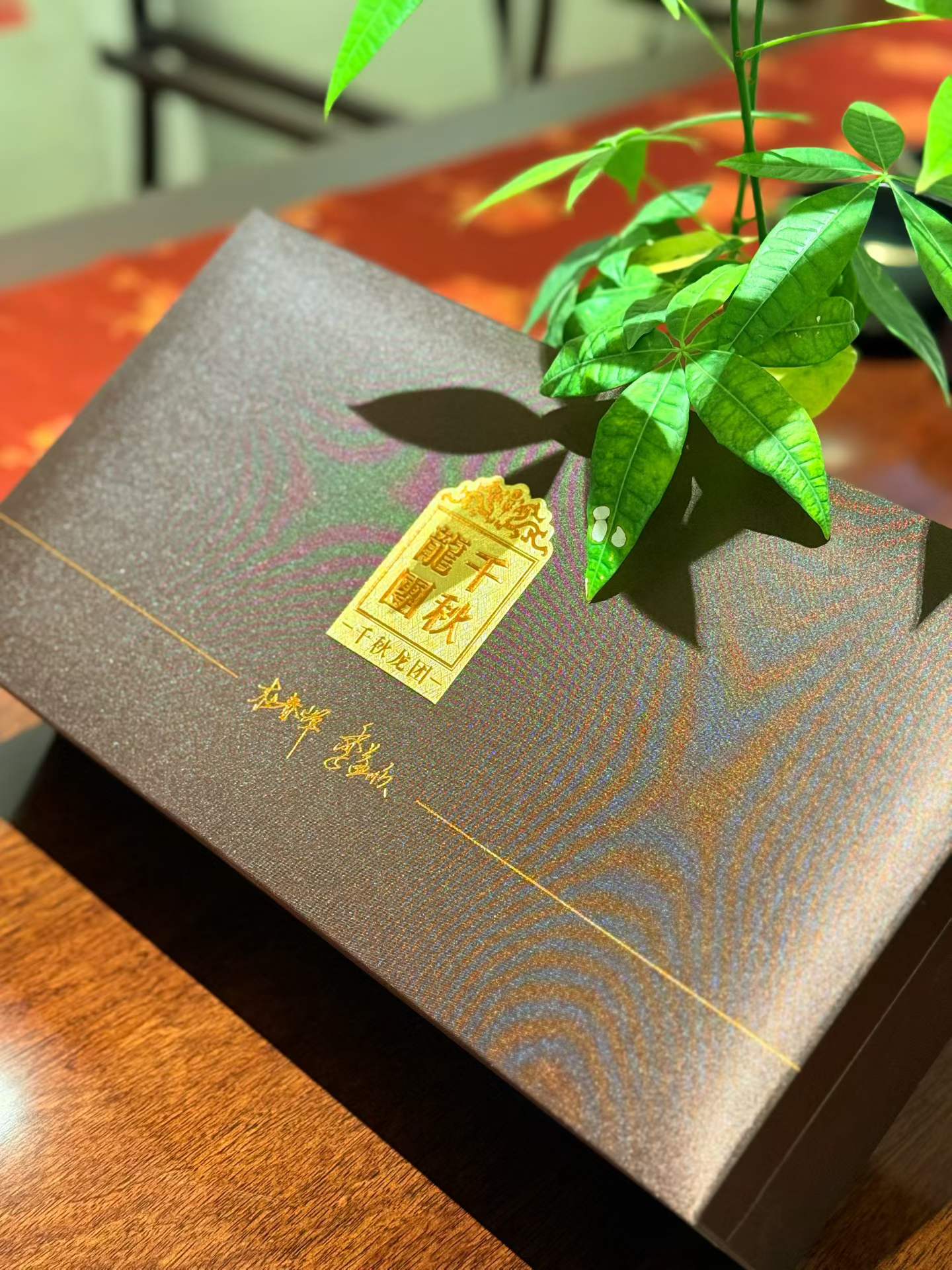 澜沧古茶[千秋祥瑞]千秋龙团古树茶普洱茶生熟茶100g+祥瑞德钟紫砂壶170cc