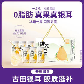 一朵燕 鲜炖银耳羹礼盒1188克（桂花雪梨味198克×6瓶）