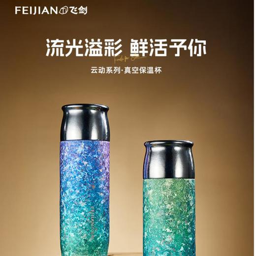飞剑TD-039-29A云动系列真空保温杯 商品图2