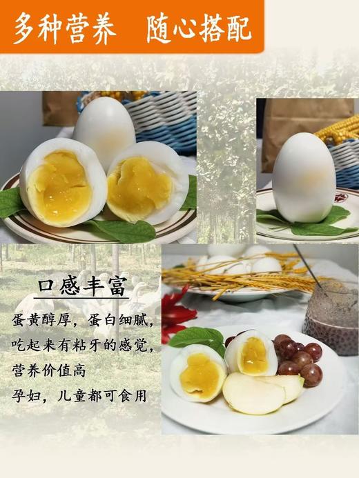 【助农】本地农家散养鹅蛋130g-150g/枚【FY】 商品图3