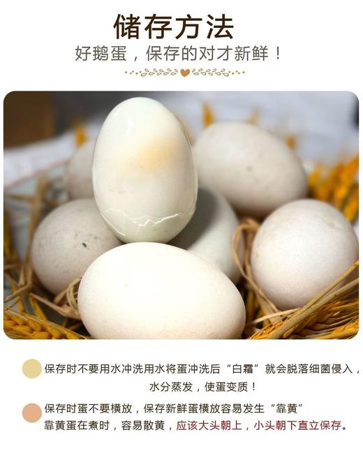 【助农】本地农家散养鹅蛋130g-150g/枚【FY】 商品图4