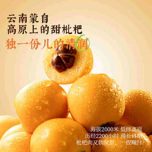 可可满分枇杷雪梨水500ml×15瓶/箱 商品图6