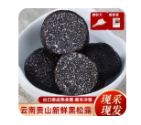 冰鲜冷冻黑松露/2-3Zcm*100g