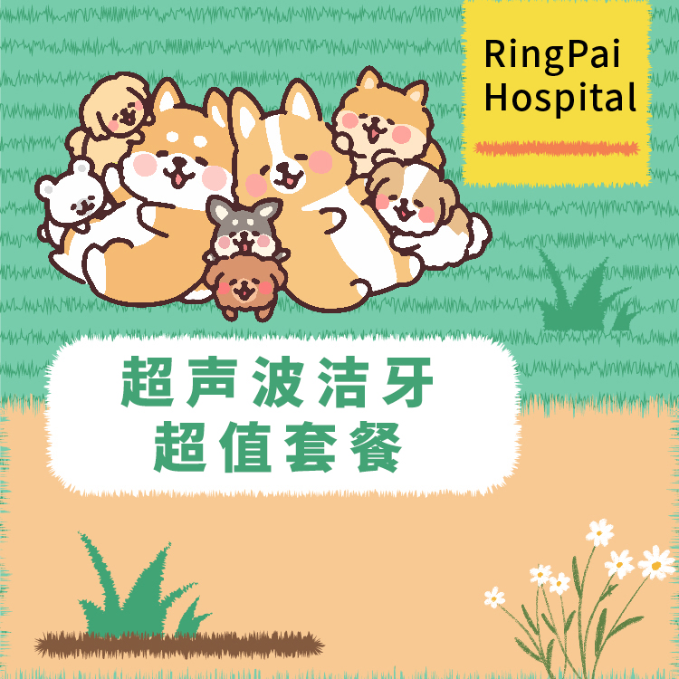 【到店服务】犬猫通用洁牙超值套餐
