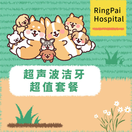 【到店服务】犬猫通用洁牙超值套餐 商品图0