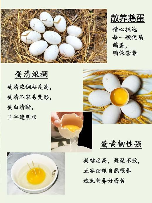 【助农】本地农家散养鹅蛋130g-150g/枚【FY】 商品图2