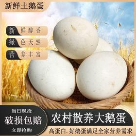 【助农】本地农家散养鹅蛋130g-150g/枚【FY】
