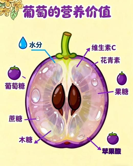 云南建水夏黑葡萄 商品图9